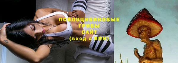 ГАЛЛЮЦИНОГЕННЫЕ ГРИБЫ Навашино