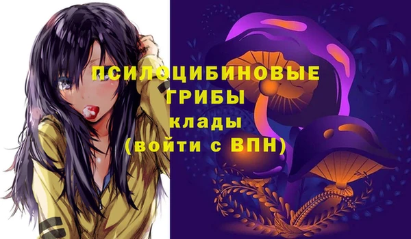 ГАЛЛЮЦИНОГЕННЫЕ ГРИБЫ Навашино