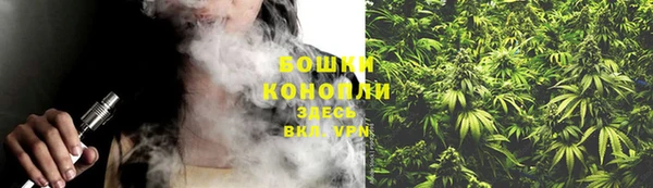 ГАЛЛЮЦИНОГЕННЫЕ ГРИБЫ Навашино